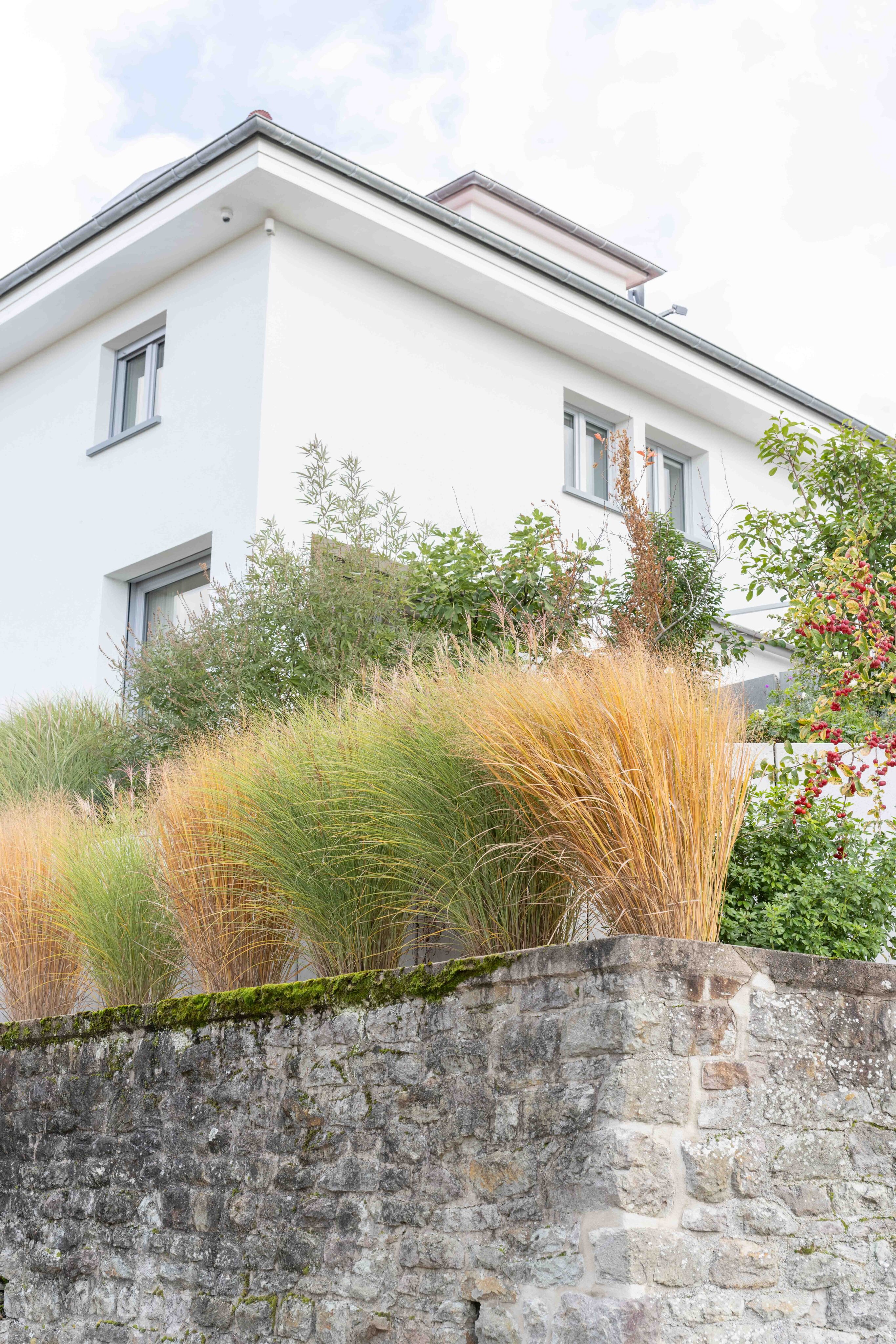 Klare Wohnarchitektur mit weißer Fassade, großen Fenstern und gepflegter Bepflanzung.