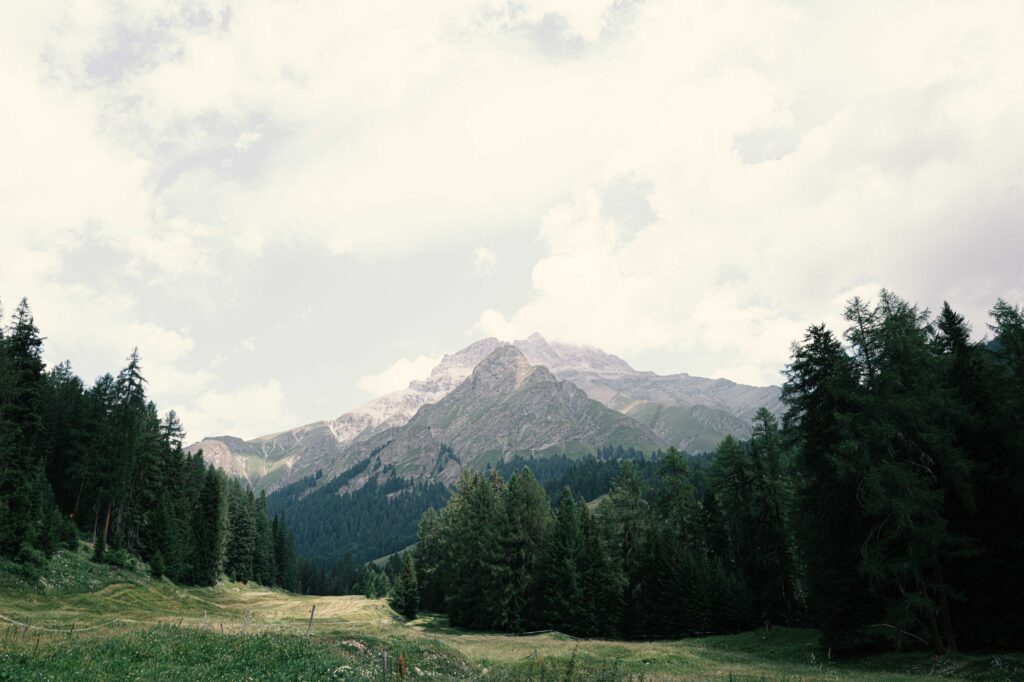 Majestätisches Bergpanorama mit dichten Nadelwäldern und einer weiten grünen Wiese unter einem bewölkten Himmel in einer exklusiven Alpenregion.