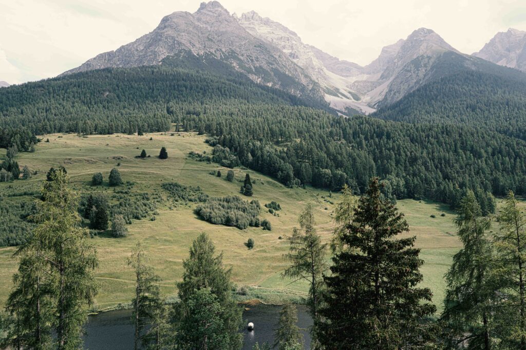 Weitläufige alpine Berglandschaft mit grünen Wiesen, dichten Nadelwäldern und einem kleinen See im Vordergrund unter einem bewölkten Himmel.