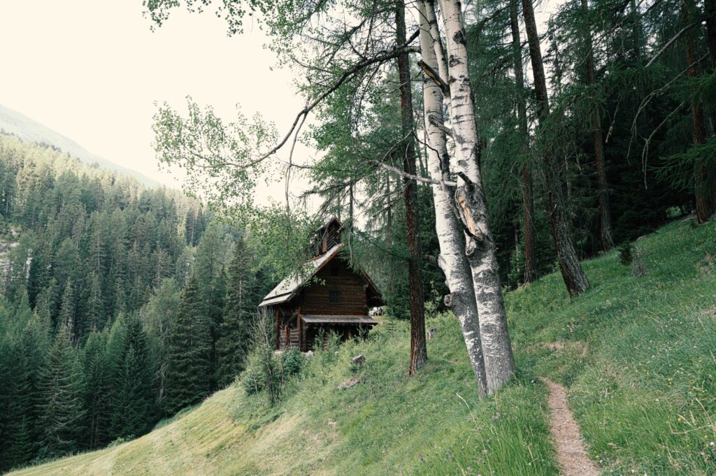 Rustikale Holzhütte in einer idyllischen Berglandschaft mit dichtem Nadelwald und Birken am Hang, umgeben von grünen Wiesen und einem schmalen Pfad.