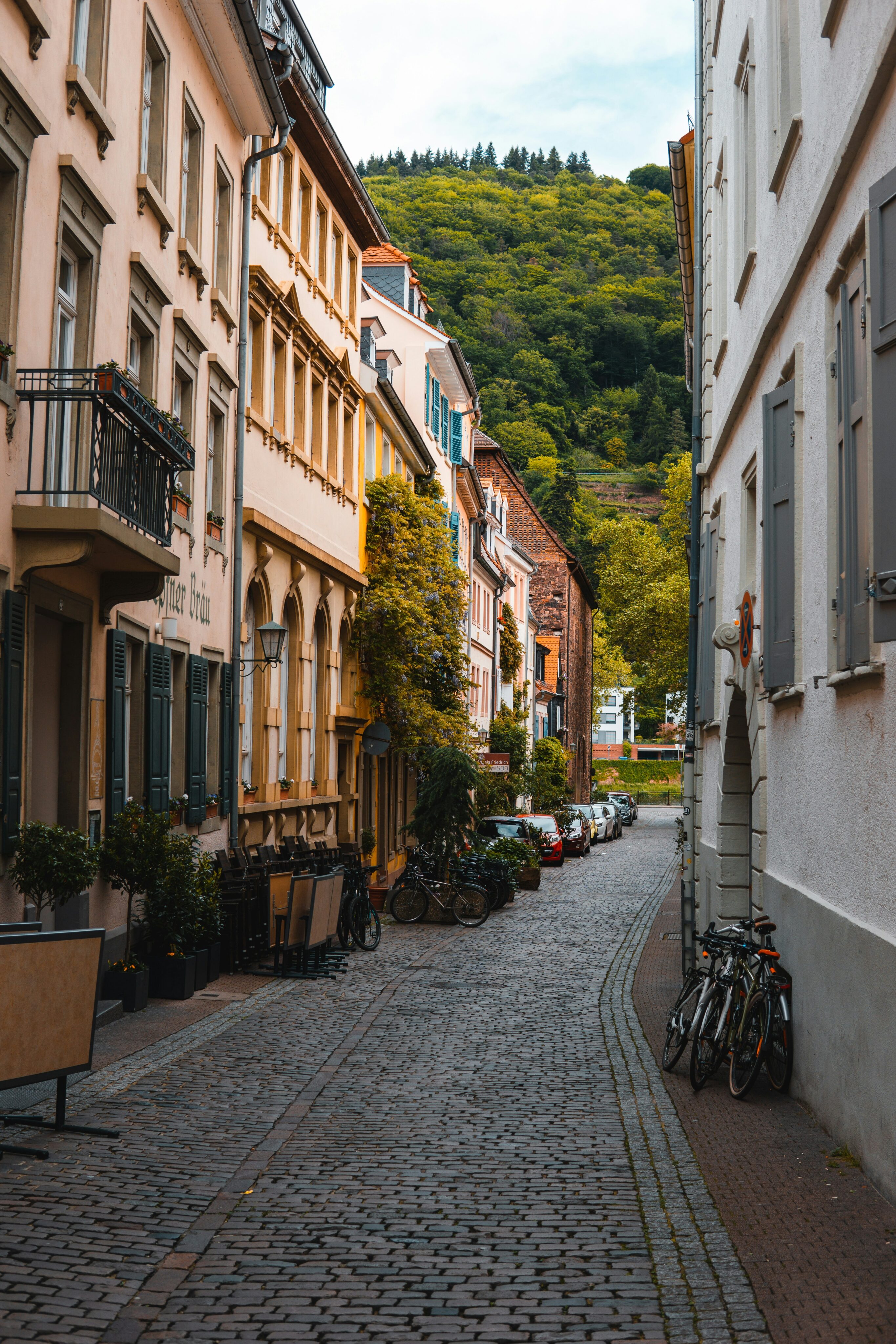 Straßenzug in der Heidelberger Weststadt mit historischer Wohnbebauung und begrüntem Hang.